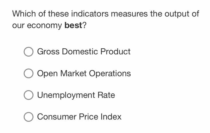 which of these indicators measures the output of our economy best? gros…