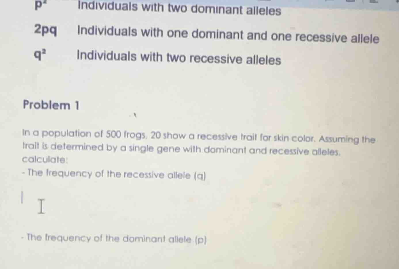 p² individuals with two dominant alleles 2pq individuals with one domin…