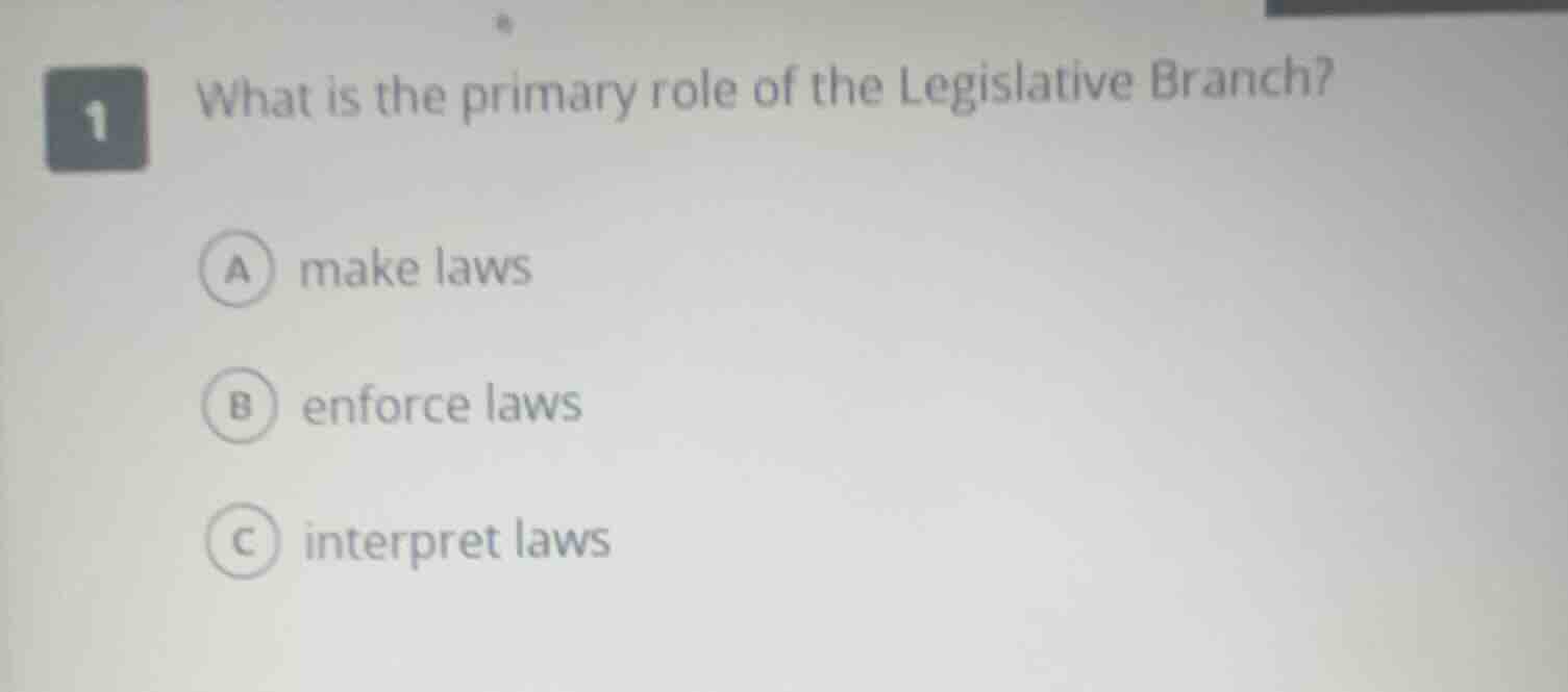 1 what is the primary role of the legislative branch? a make laws b enf…
