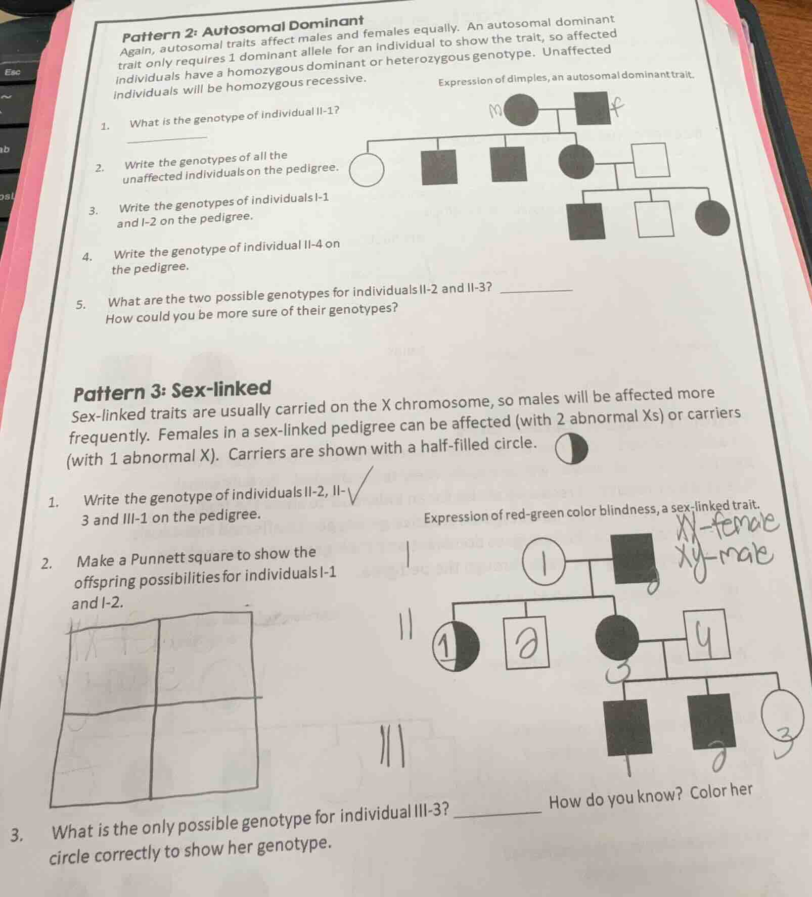 pattern 2: autosomal dominant again, autosomal traits affect males and …