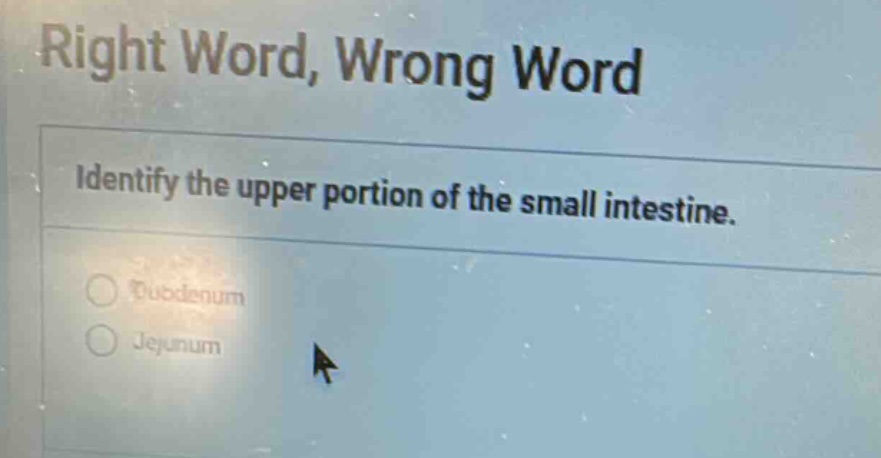 right word, wrong word identify the upper portion of the small intestin…
