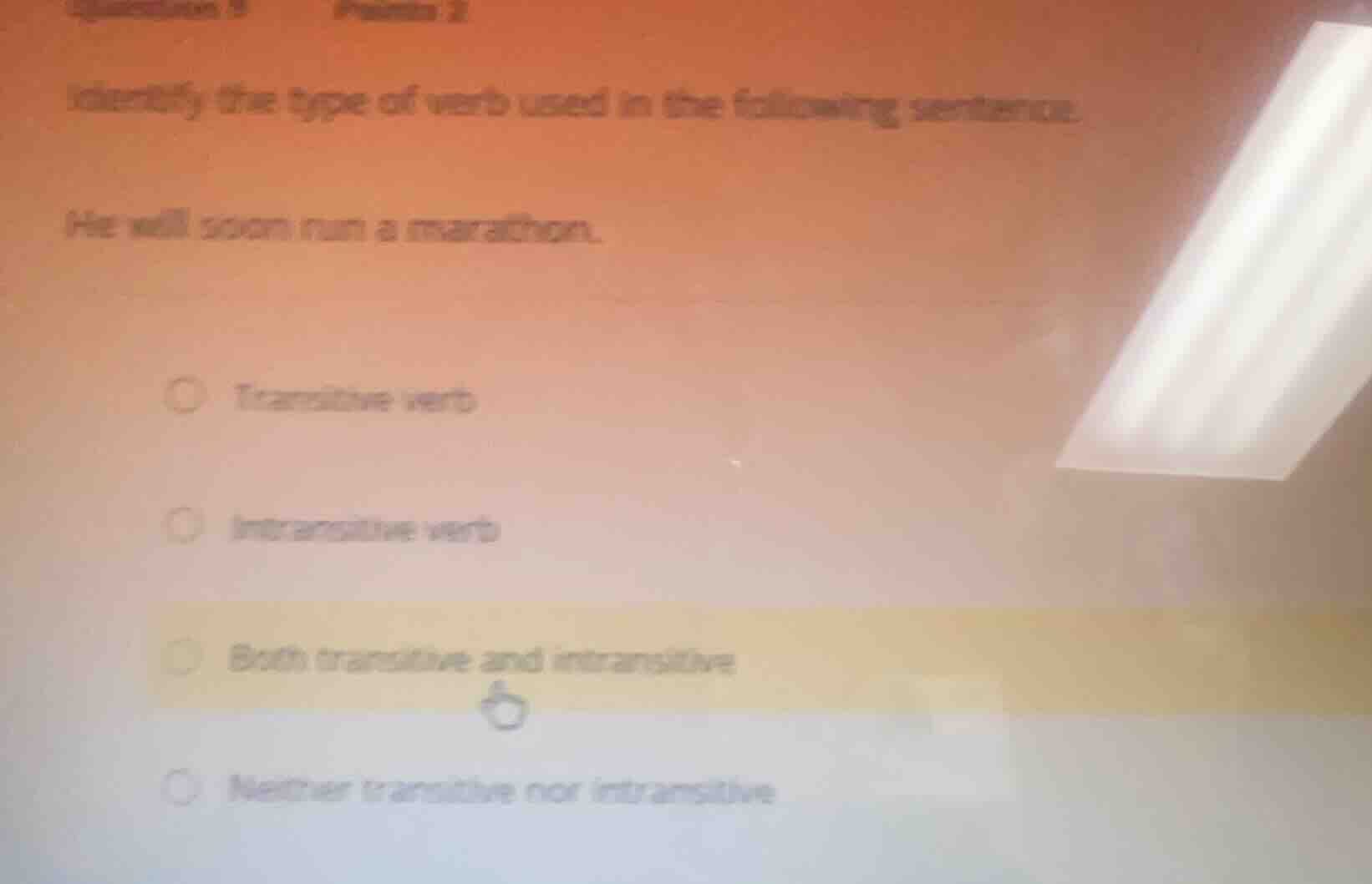 identify the type of verb used in the following sentence. he will soon …