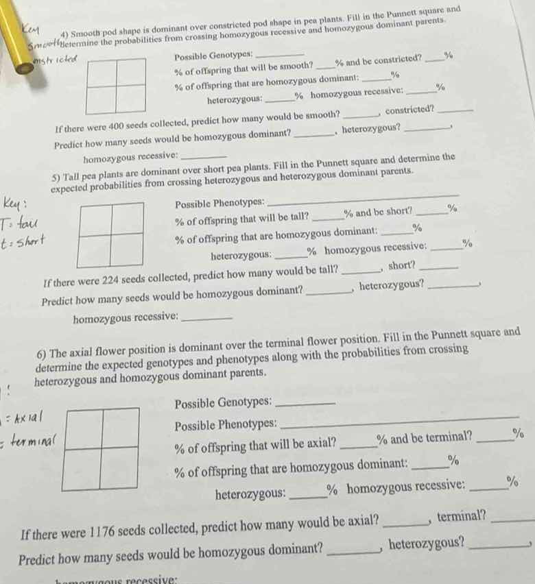 4) smooth pod shape is dominant over constricted pod shape in pea plant…