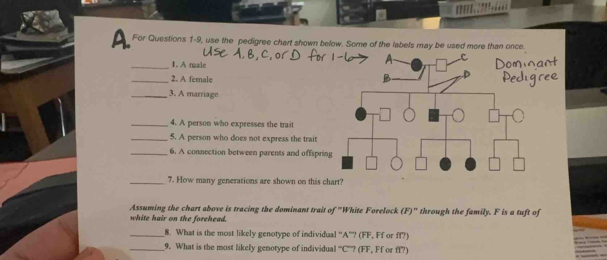 a. for questions 1-9, use the pedigree chart shown below. some of the l…