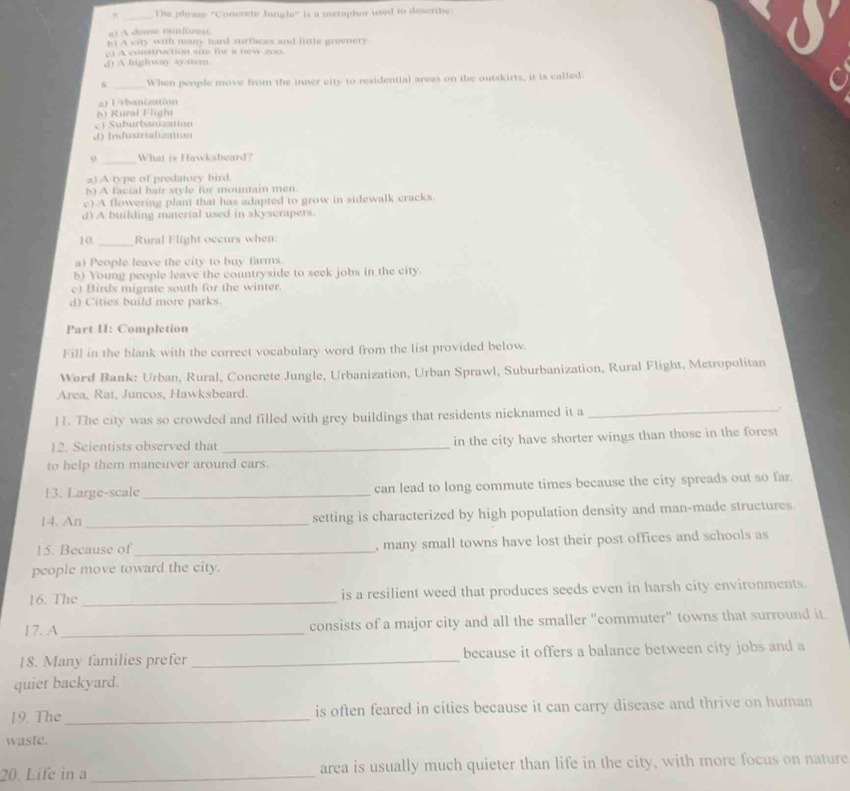 7. ______ the phrase \concrete jungle\ is a metaphor used to describe: …
