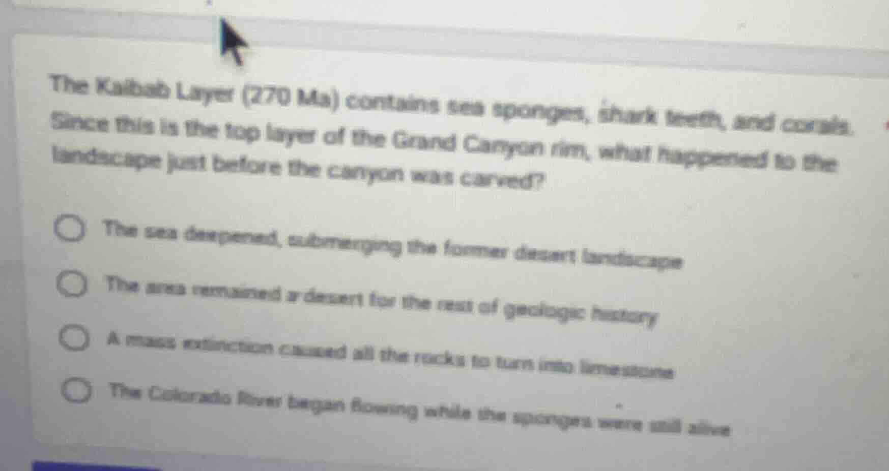 the kaibab layer (270 ma) contains sea sponges, shark teeth, and corals…
