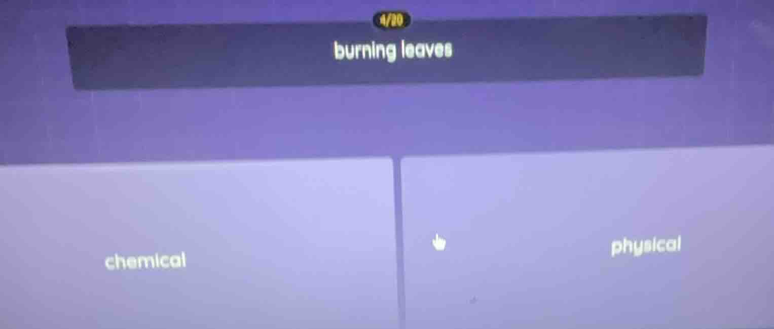 burning leaves chemical physical