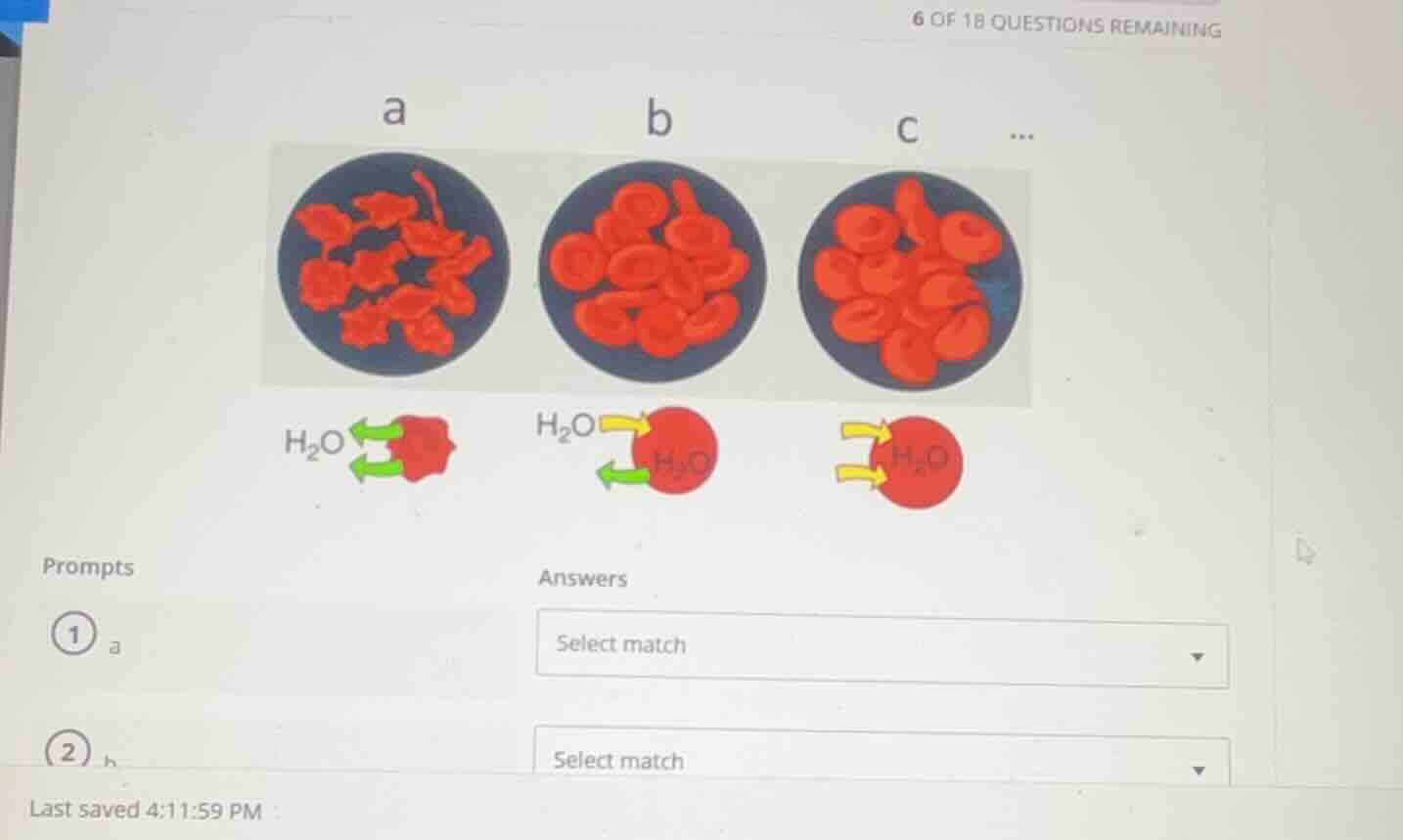 6 of 18 questions remaining a b c ... h₂o h₂o h₂o prompts answers ① a s…