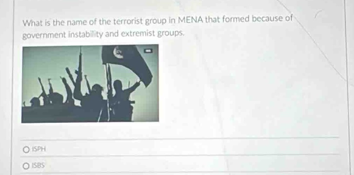 what is the name of the terrorist group in mena that formed because of …