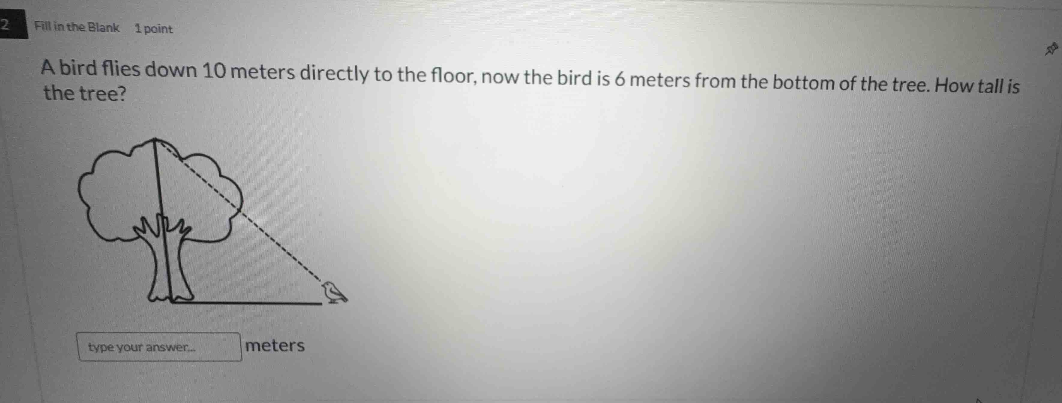 2 fill in the blank 1 point a bird flies down 10 meters directly to the…