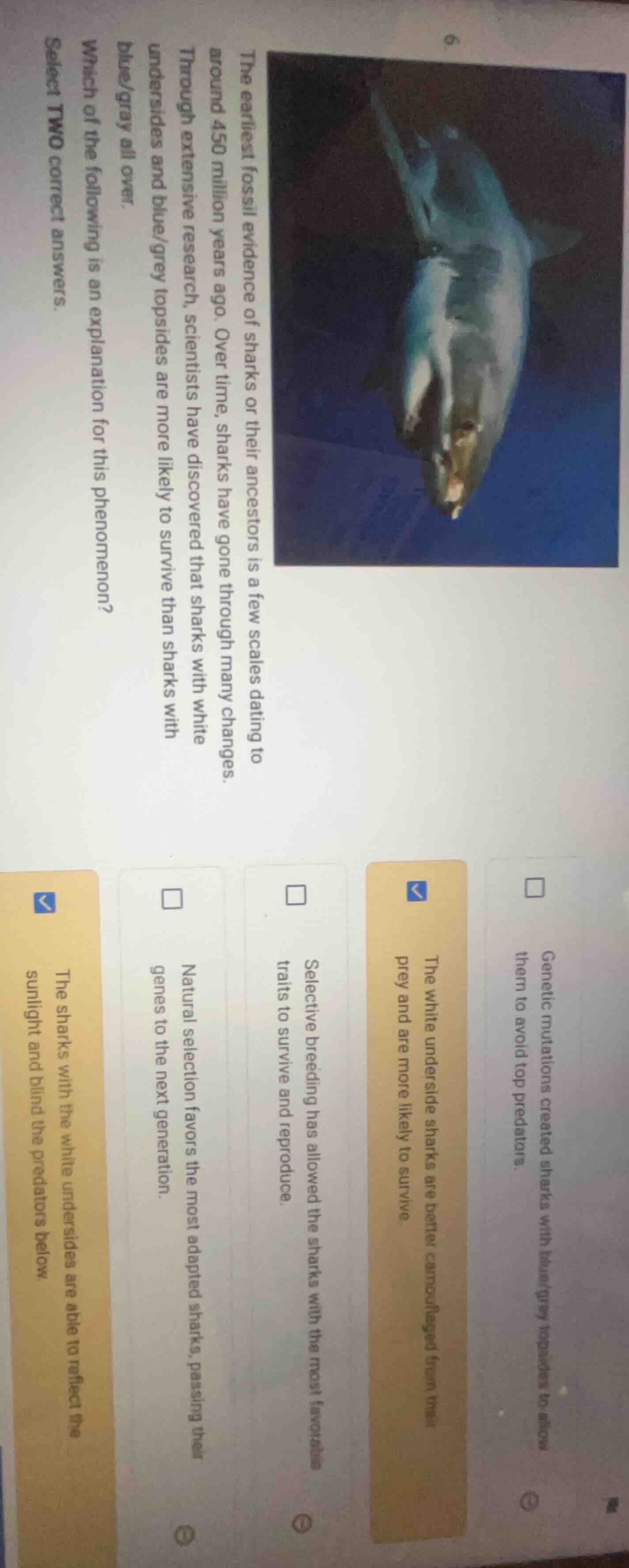 6. the earliest fossil evidence of sharks or their ancestors is a few s…