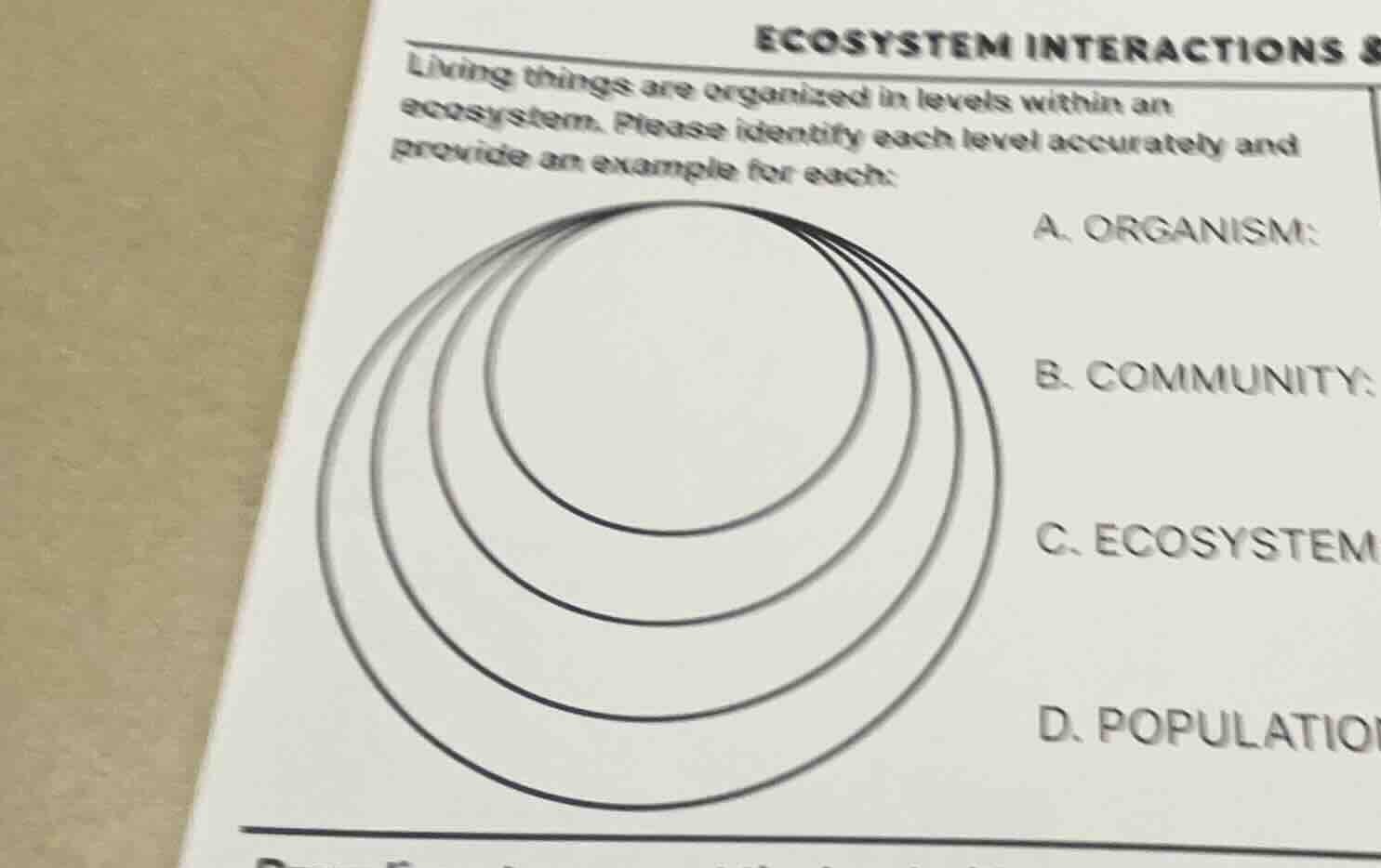ecosystem interactions living things are organized in levels within an …