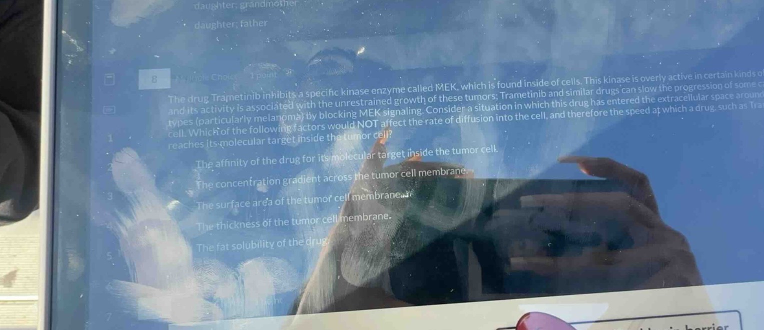 the drug trametinib inhibits a specific kinase enzyme called mek, which…