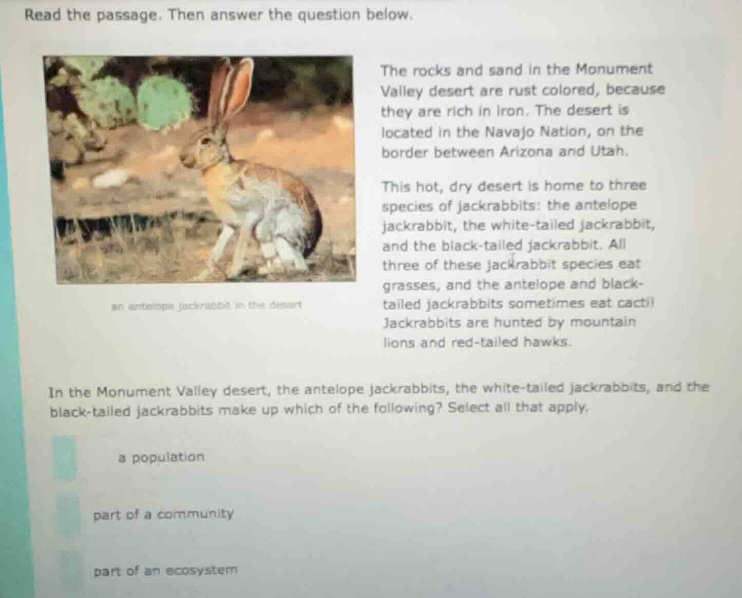 read the passage. then answer the question below. the rocks and sand in…