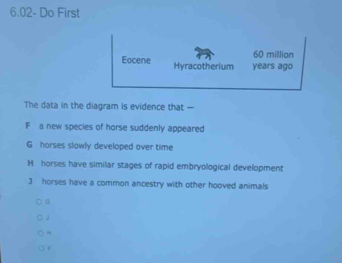 6.02- do first eocene hyracotherium 60 million years ago the data in th…