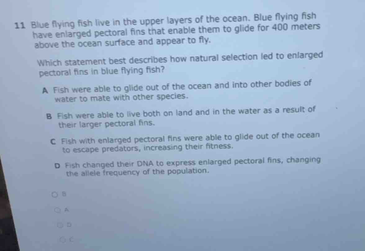 11 blue flying fish live in the upper layers of the ocean. blue flying …