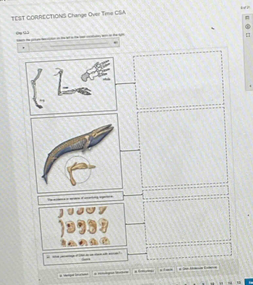 test corrections change over time csa cog 11.3 match the picture/descri…