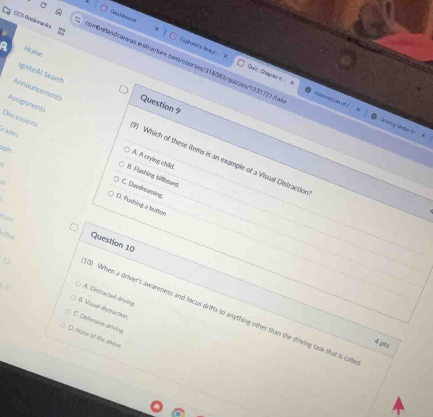 question 9 (9) which of these items is an example of a visual distracti…