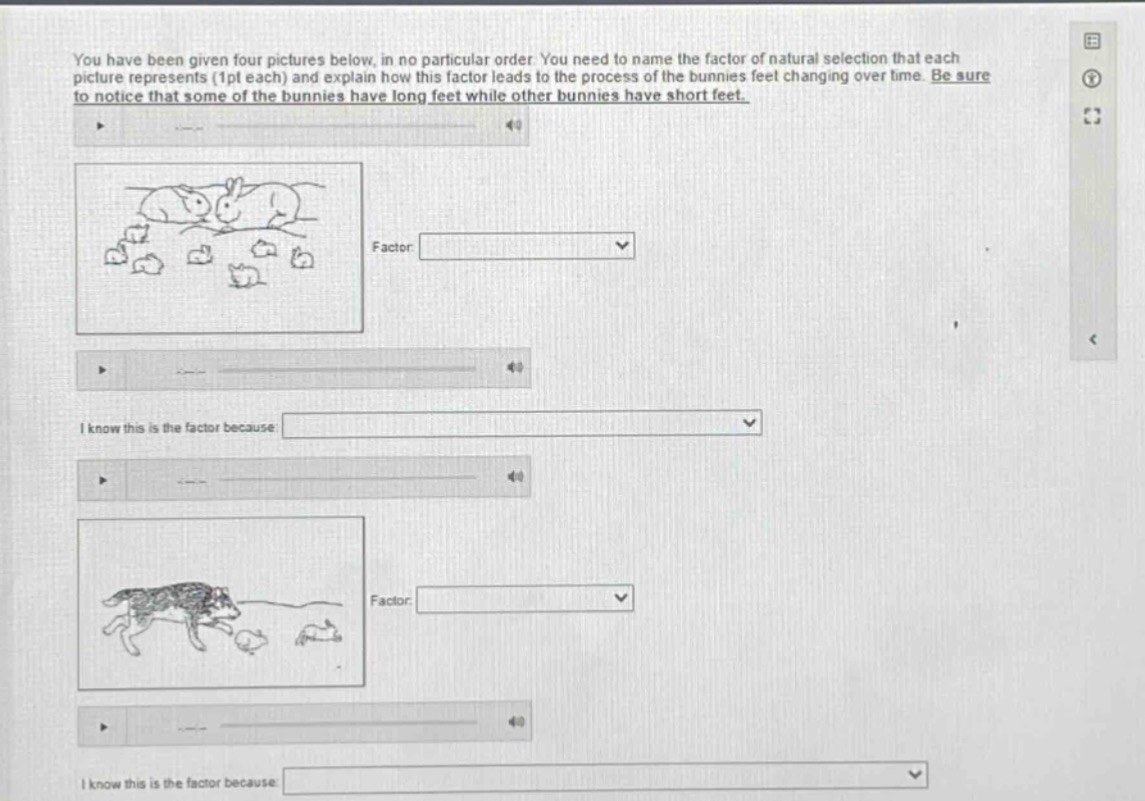 you have been given four pictures below, in no particular order. you ne…