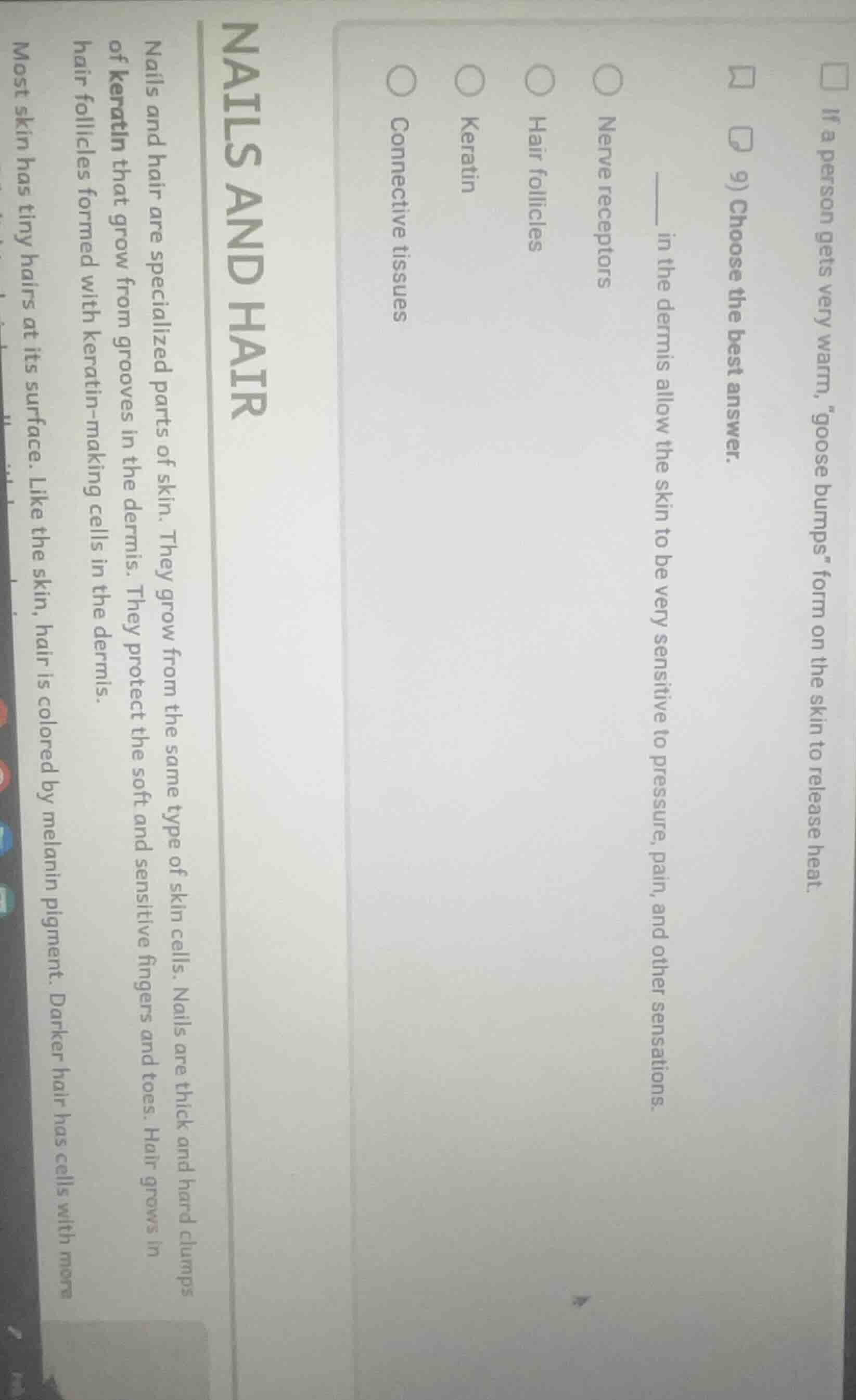 9) choose the best answer. ______ in the dermis allow the skin to be ve…