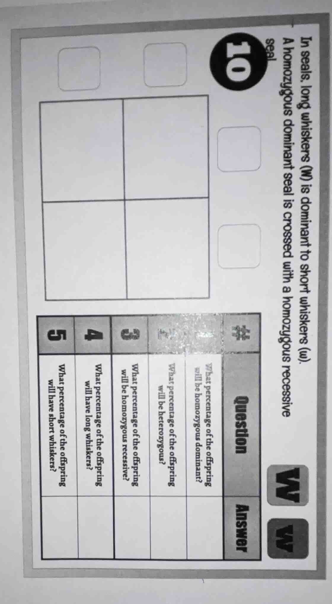 in seals, long whiskers (w) is dominant to short whiskers (w). a homozy…