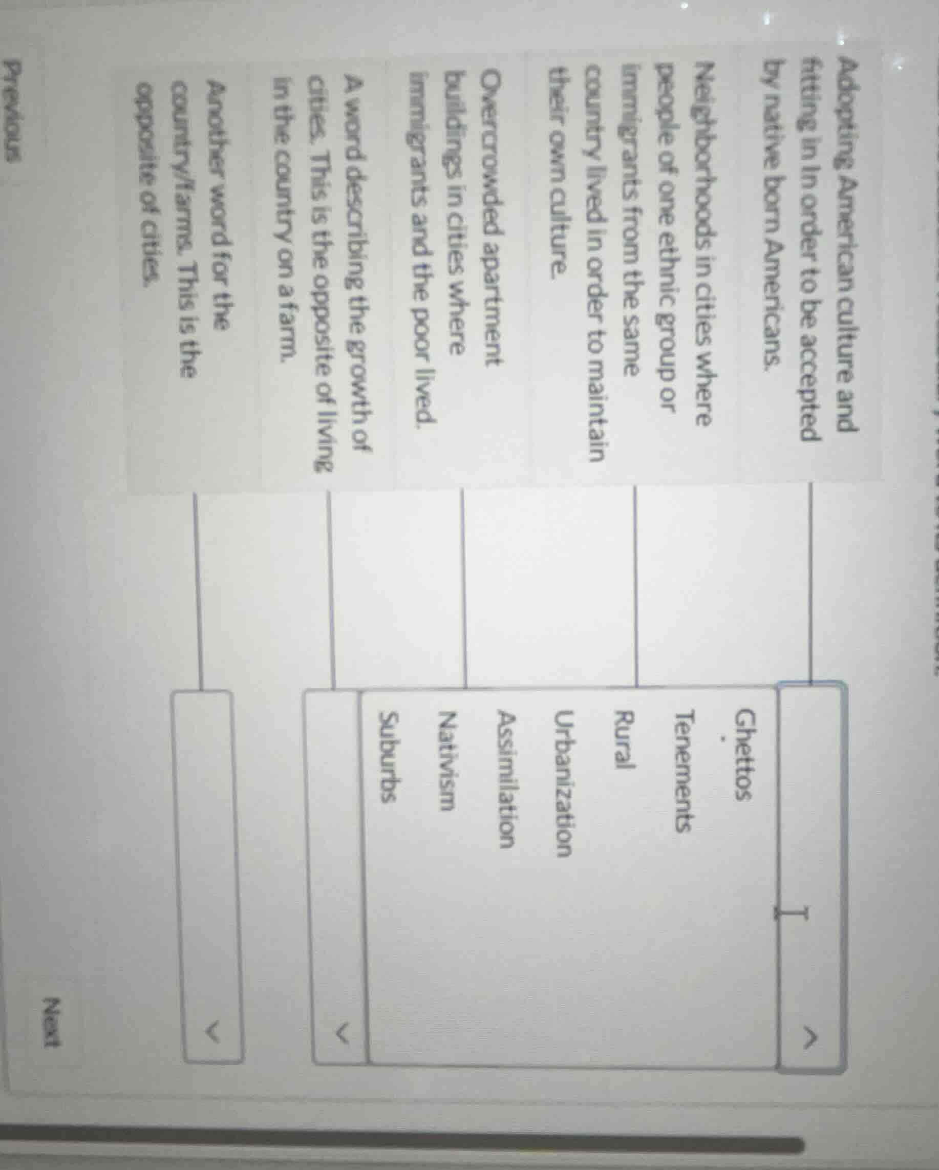 adopting american culture and fitting in in order to be accepted by nat…