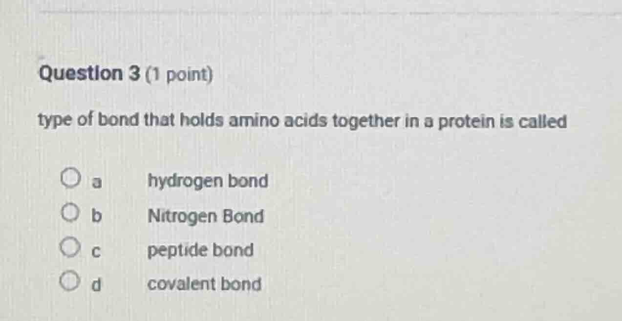 question 3 (1 point) type of bond that holds amino acids together in a …