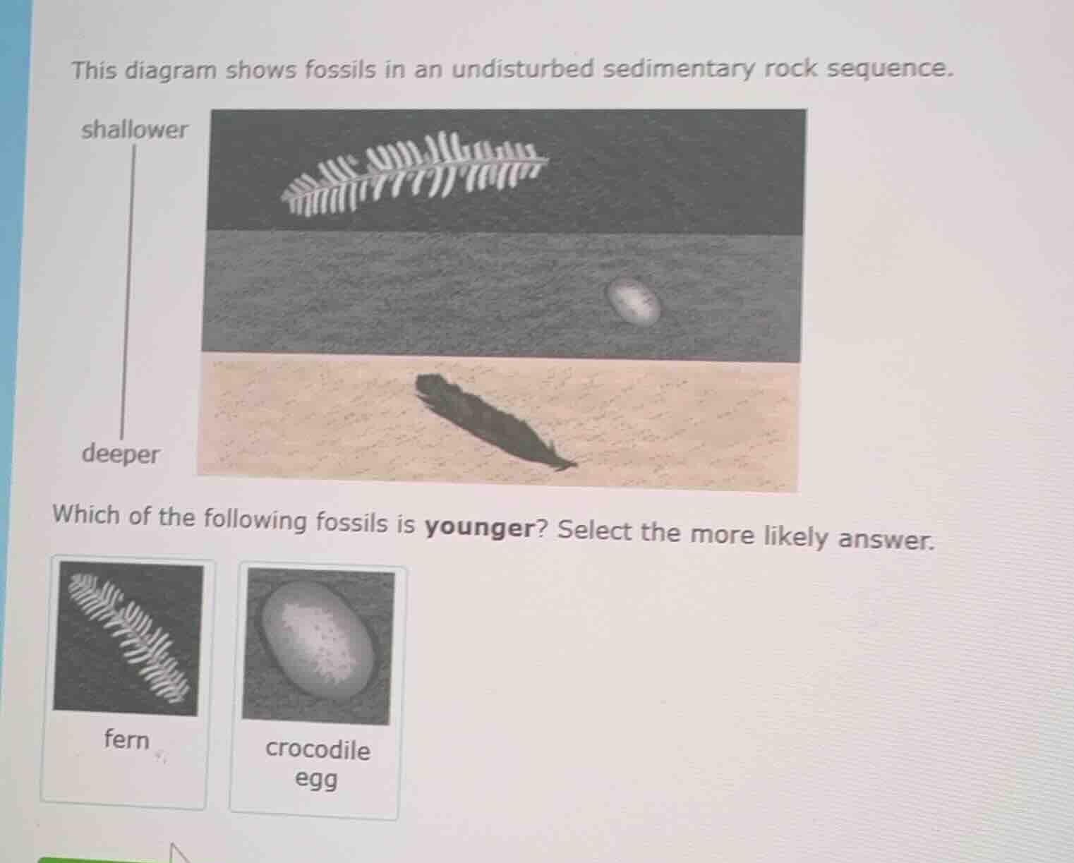 this diagram shows fossils in an undisturbed sedimentary rock sequence.…