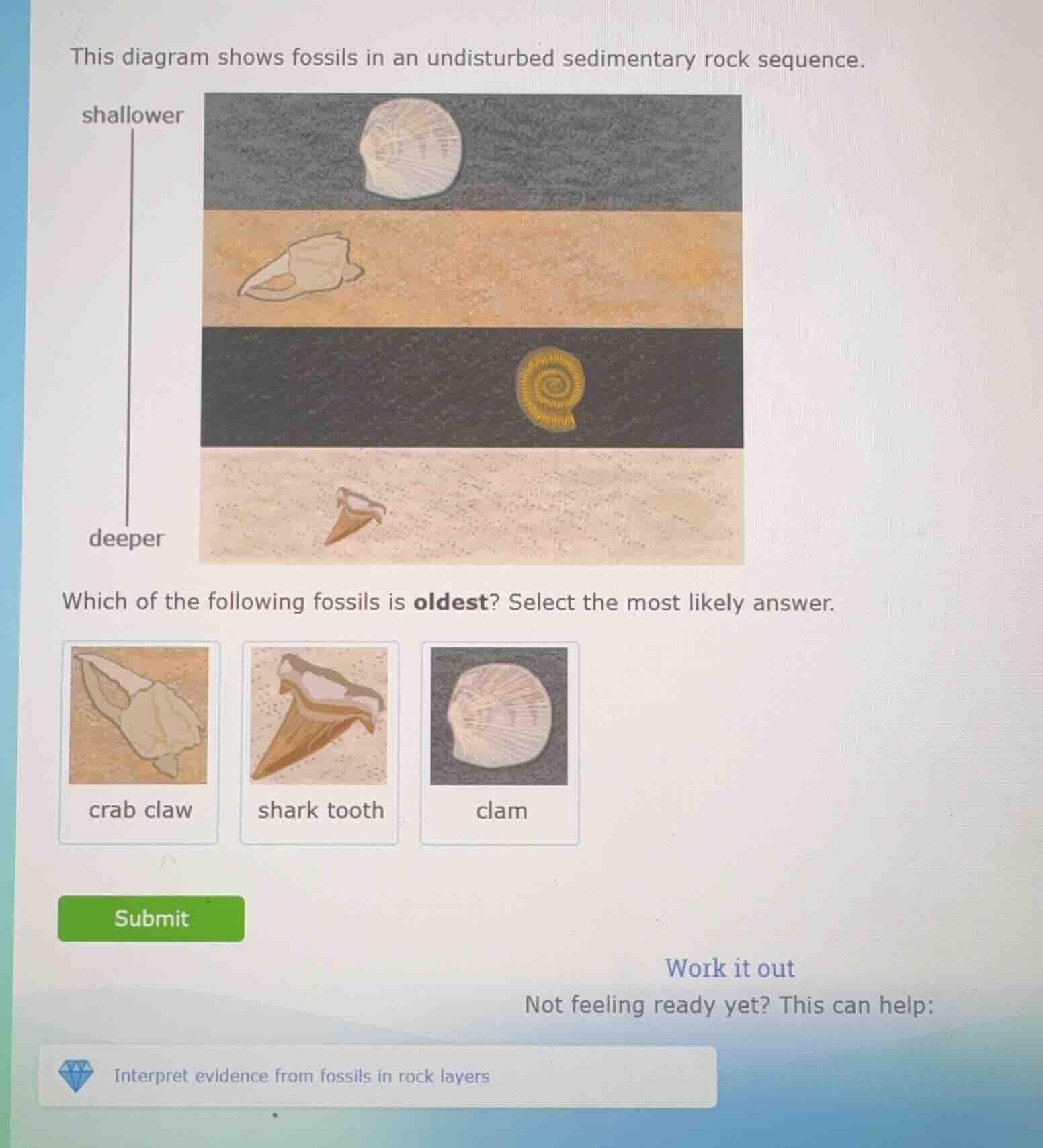 this diagram shows fossils in an undisturbed sedimentary rock sequence.…