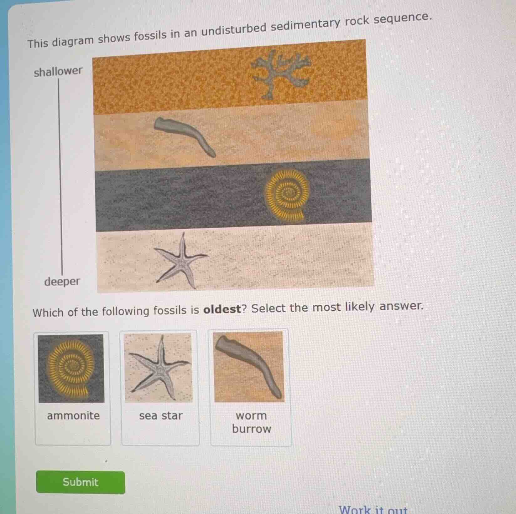 this diagram shows fossils in an undisturbed sedimentary rock sequence.…