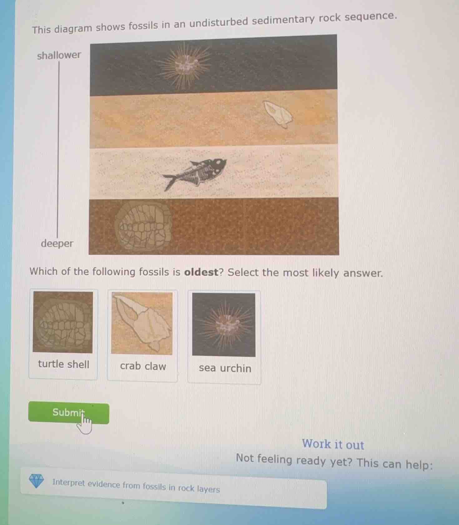 this diagram shows fossils in an undisturbed sedimentary rock sequence.…