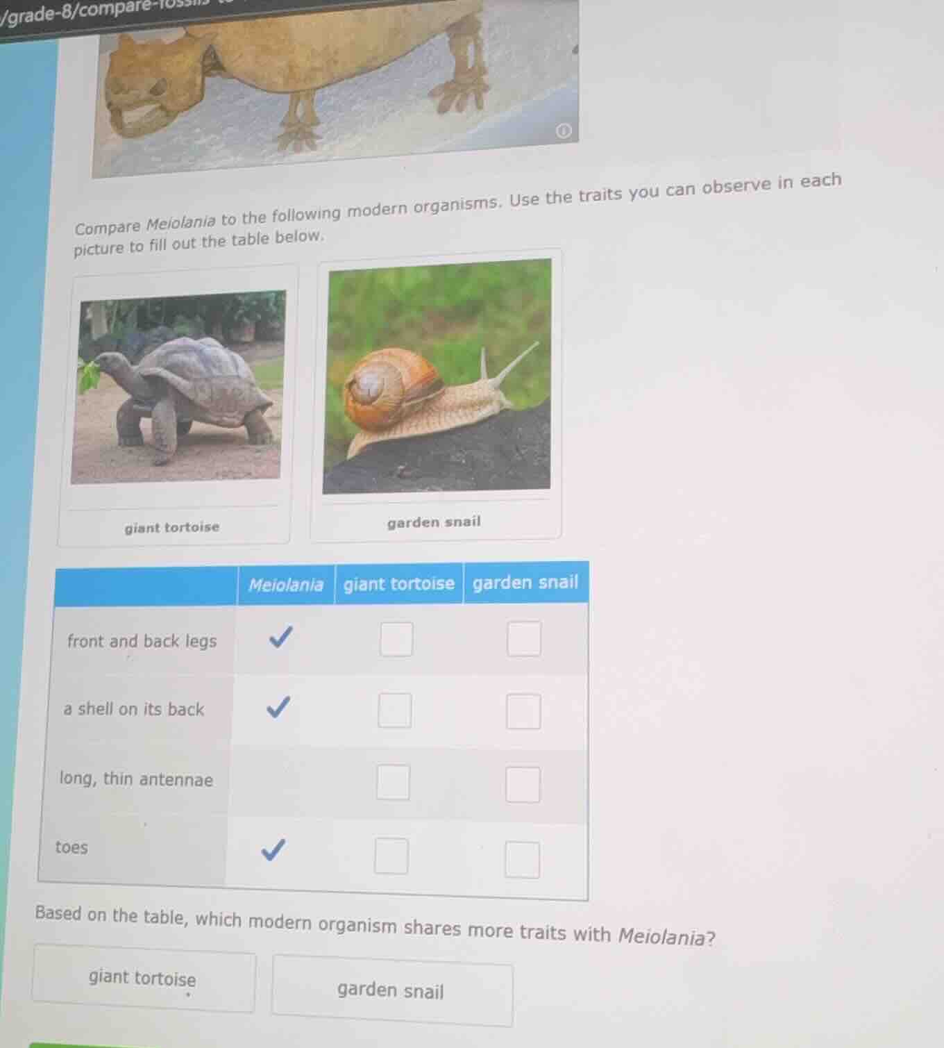 compare meiolania to the following modern organisms. use the traits you…