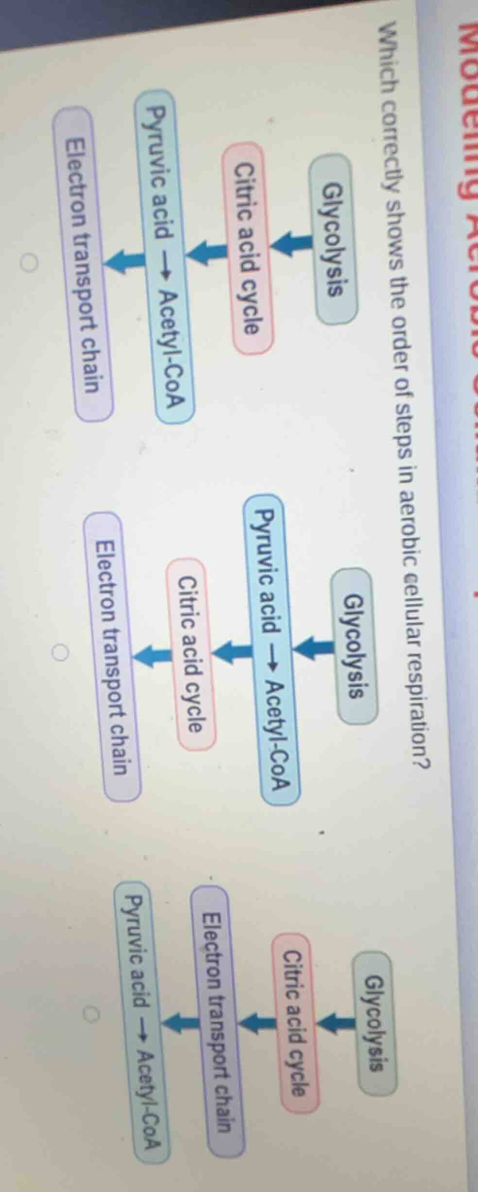 which correctly shows the order of steps in aerobic cellular respiratio…