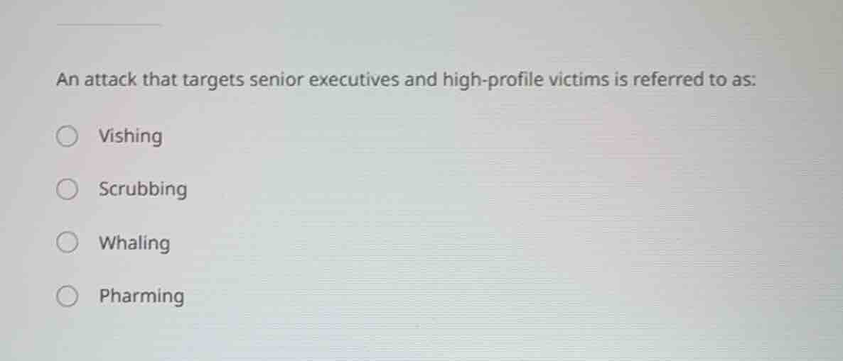 an attack that targets senior executives and high - profile victims is …