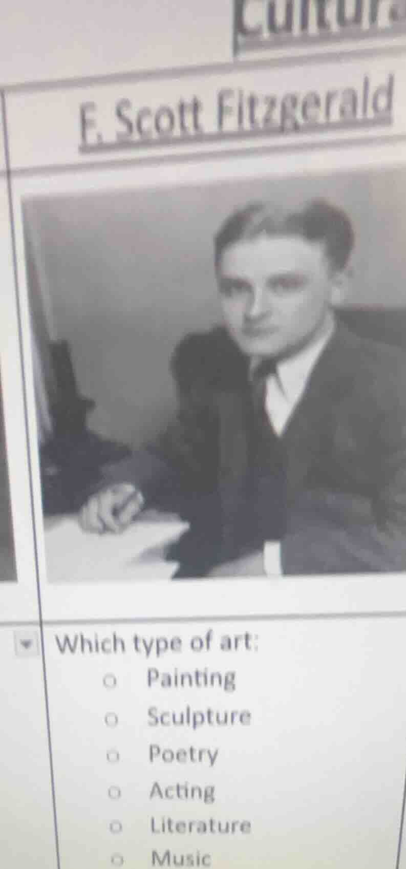 f. scott fitzgerald which type of art: painting sculpture poetry acting…