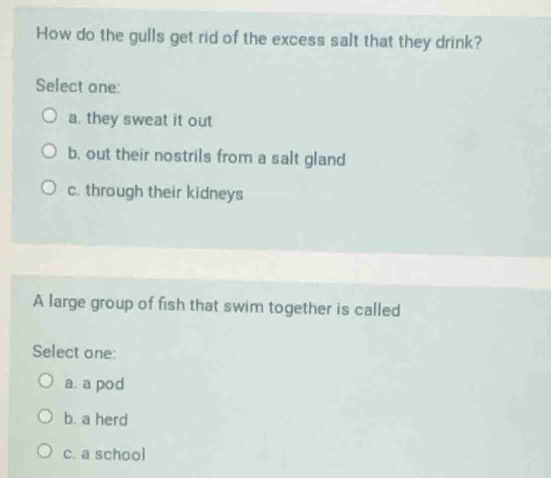how do the gulls get rid of the excess salt that they drink? select one…