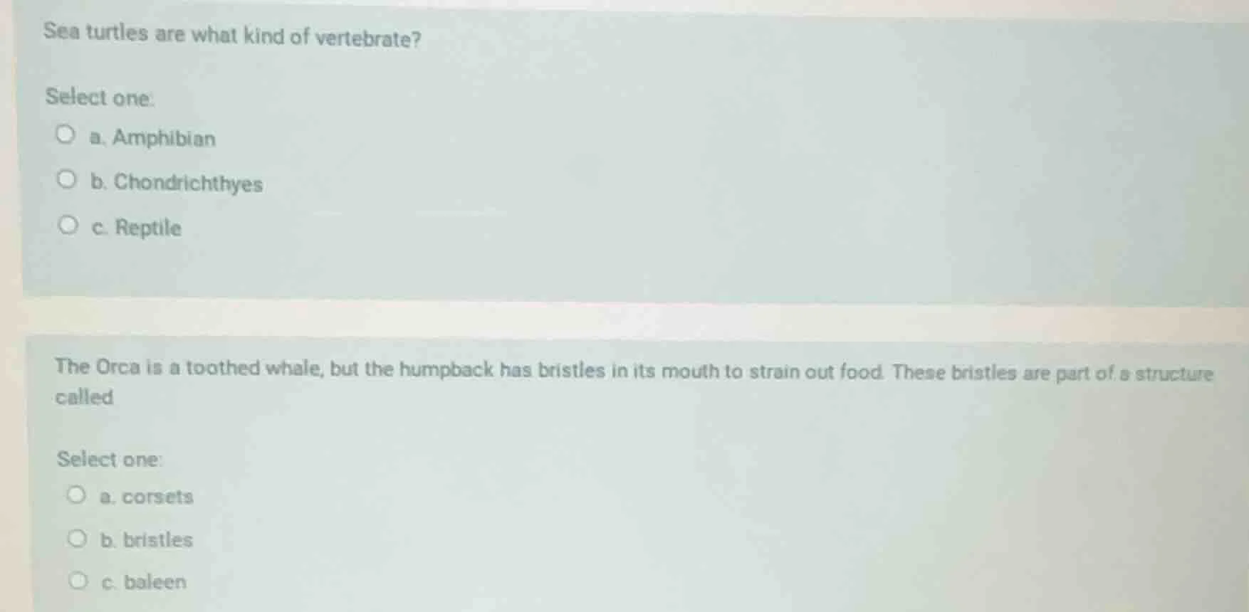 sea turtles are what kind of vertebrate? select one: ○ a. amphibian ○ b…