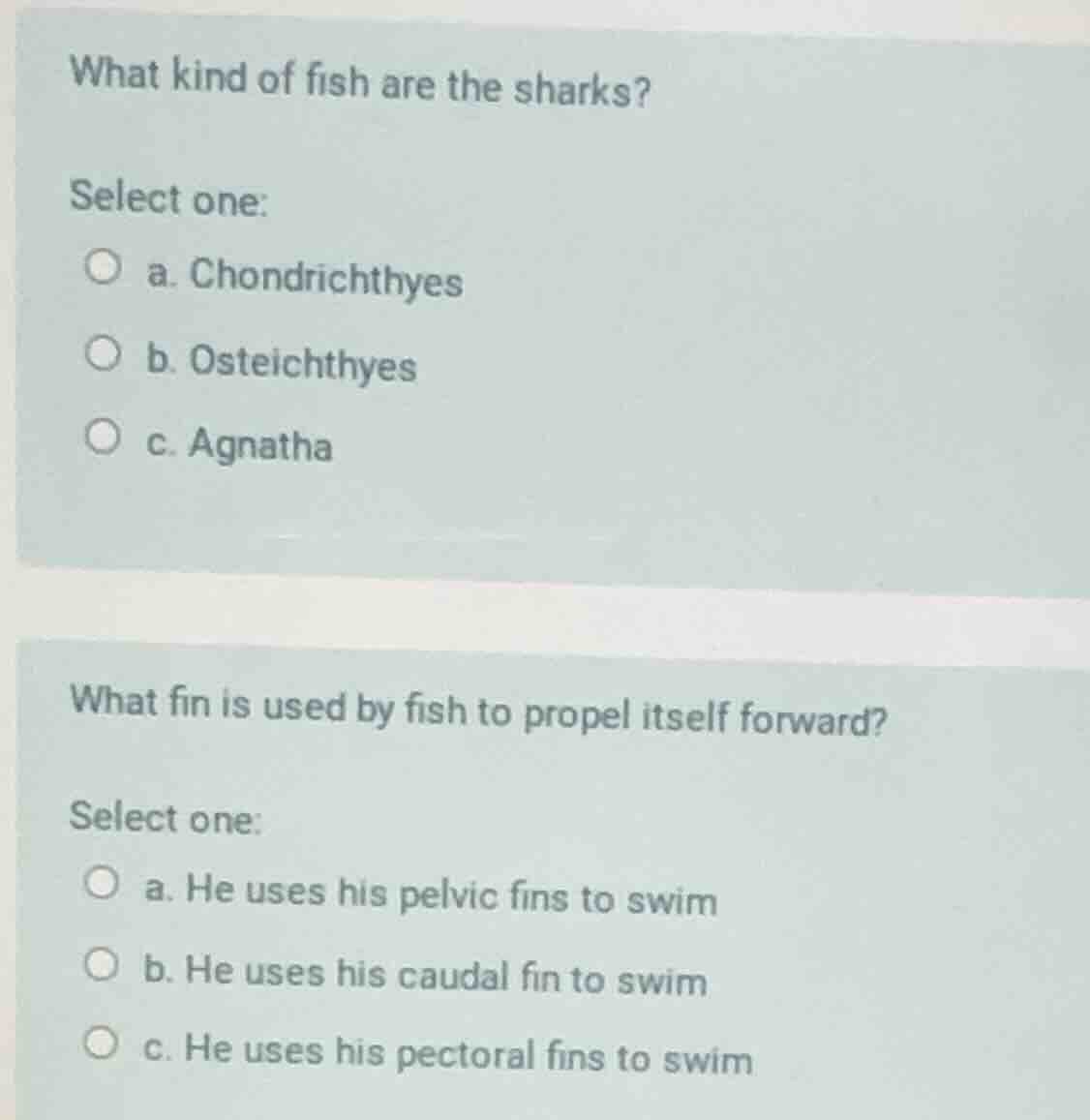 what kind of fish are the sharks? select one: a. chondrichthyes b. oste…