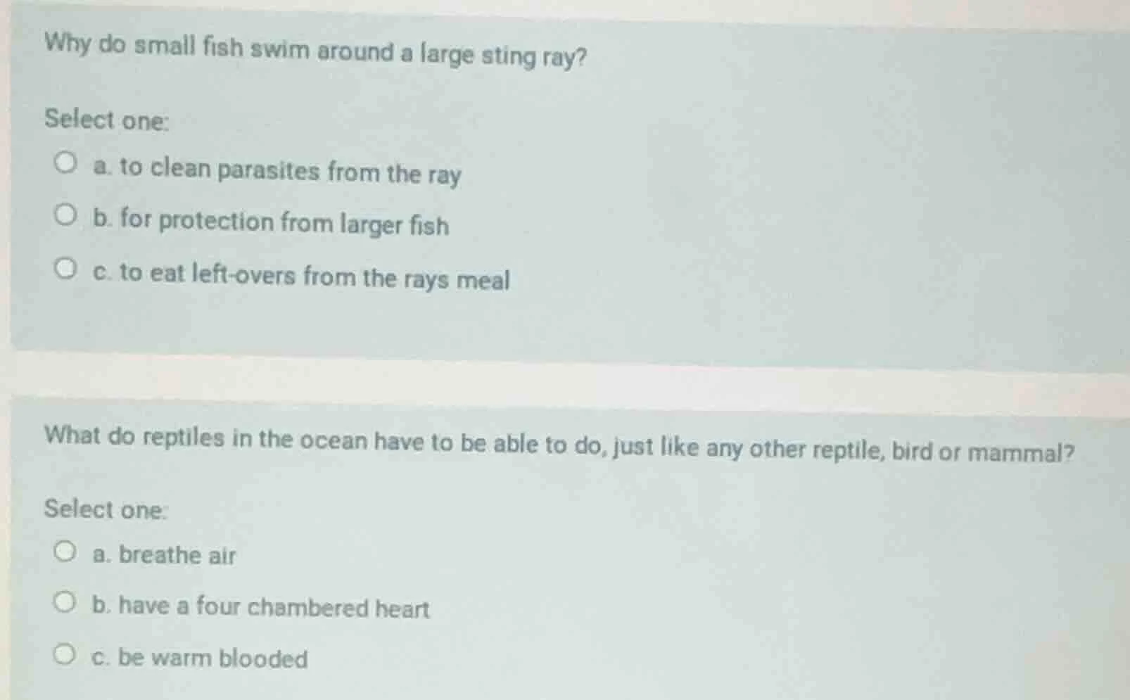 why do small fish swim around a large sting ray? select one: a. to clea…