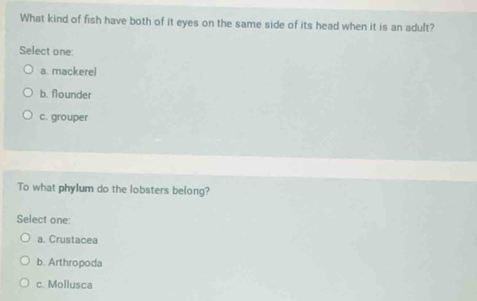 what kind of fish have both of it eyes on the same side of its head whe…