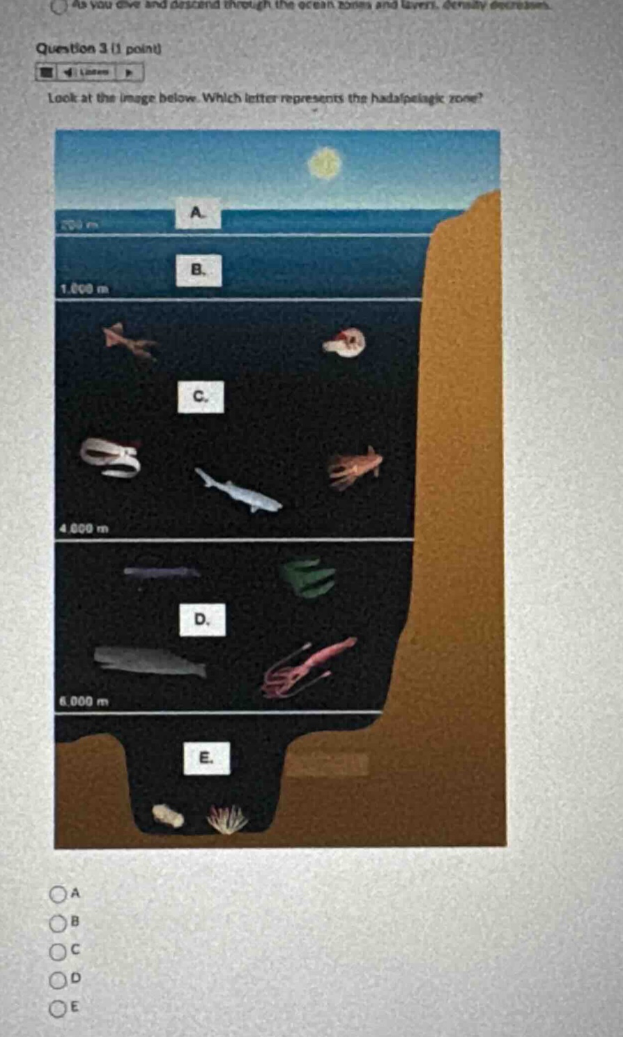 question 3 (1 point) look at the image below. which letter represents t…