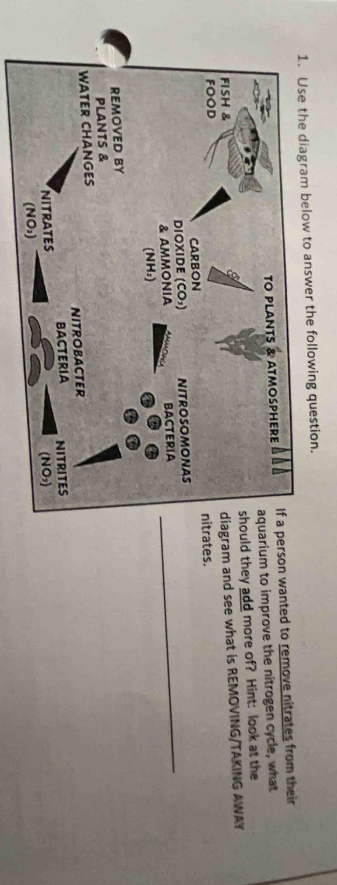 1. use the diagram below to answer the following question. if a person …