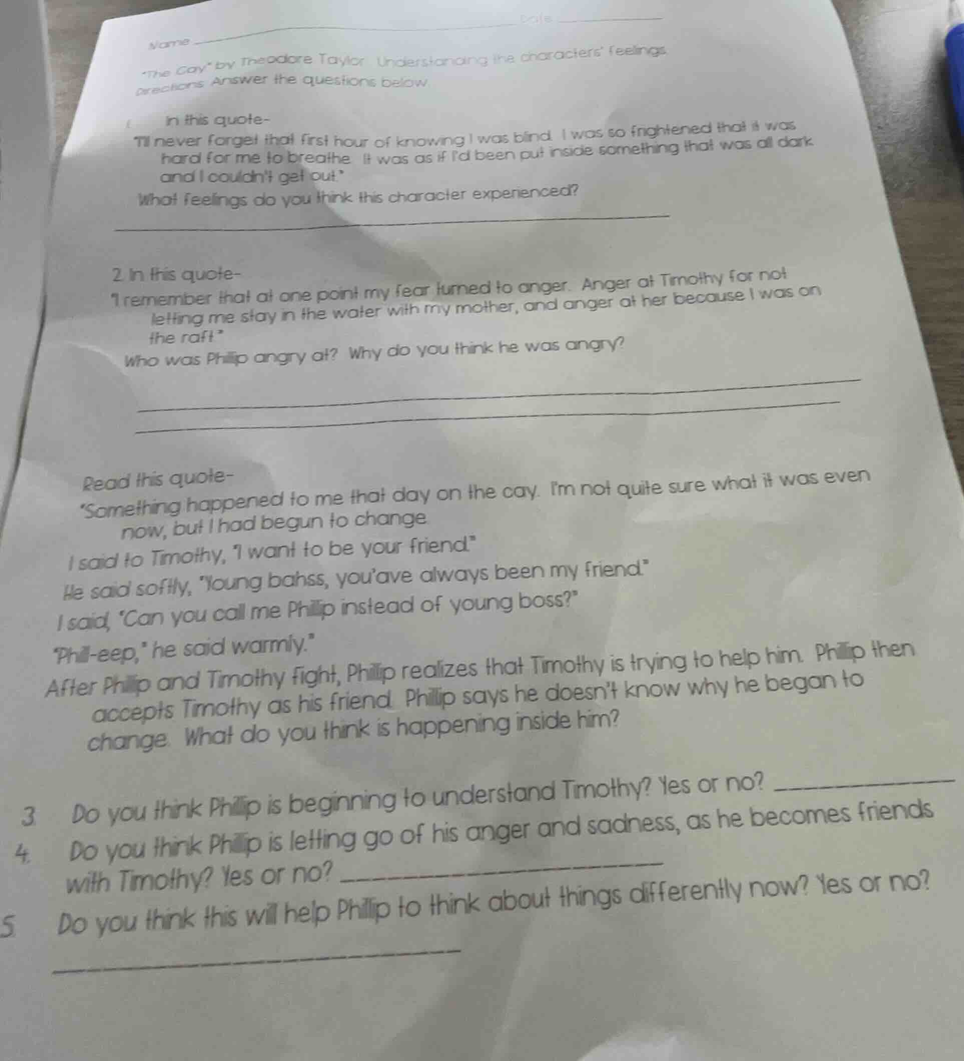 name date \the cay\ by theodore taylor understanding the characters fee…