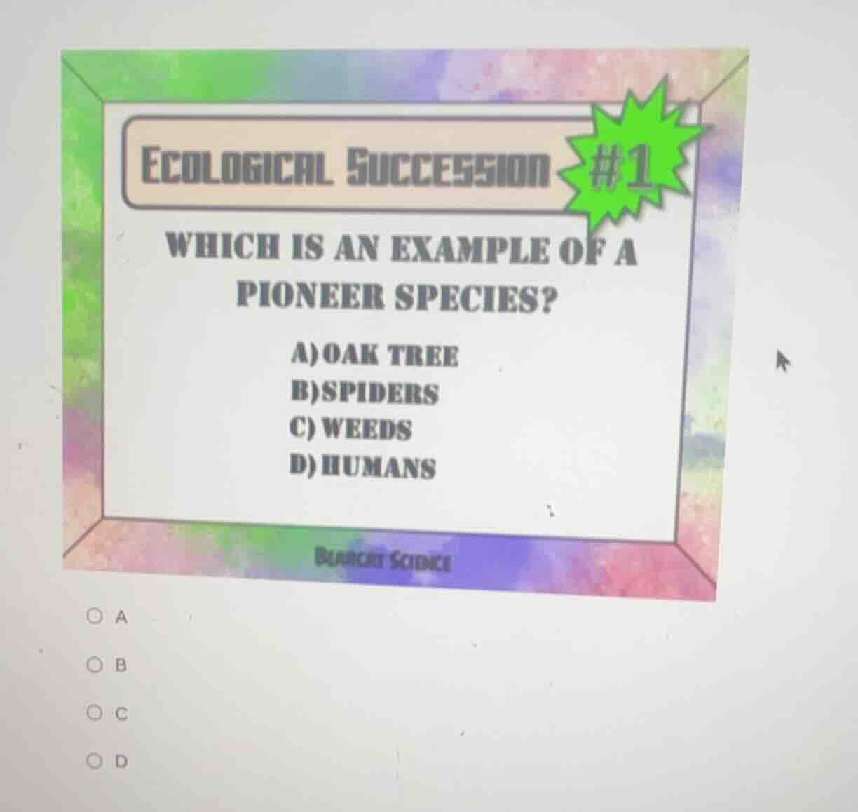 ecological succession #1 which is an example of a pioneer species? a)oa…