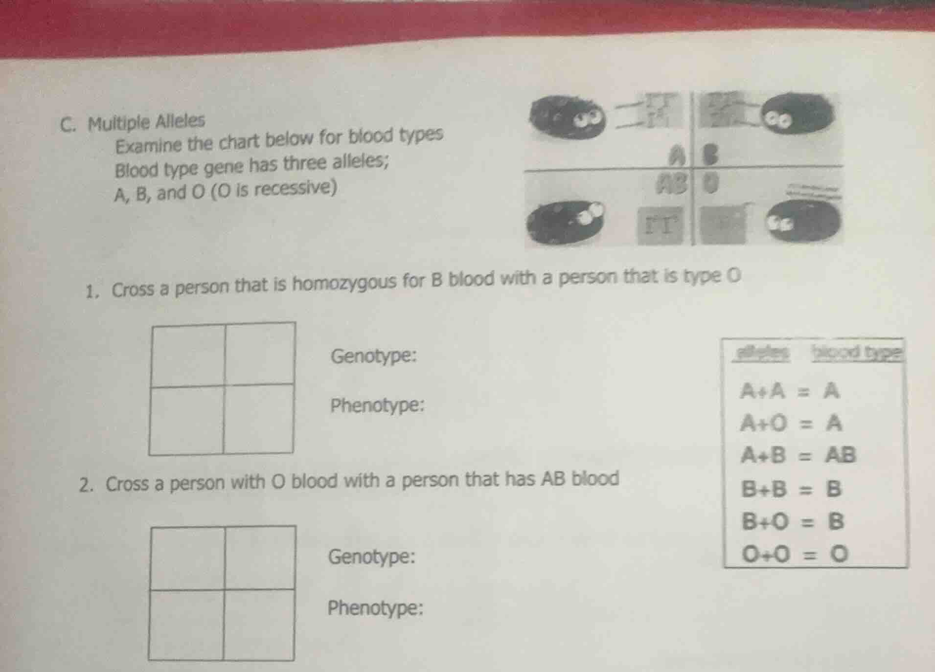 c. multiple alleles examine the chart below for blood types blood type …