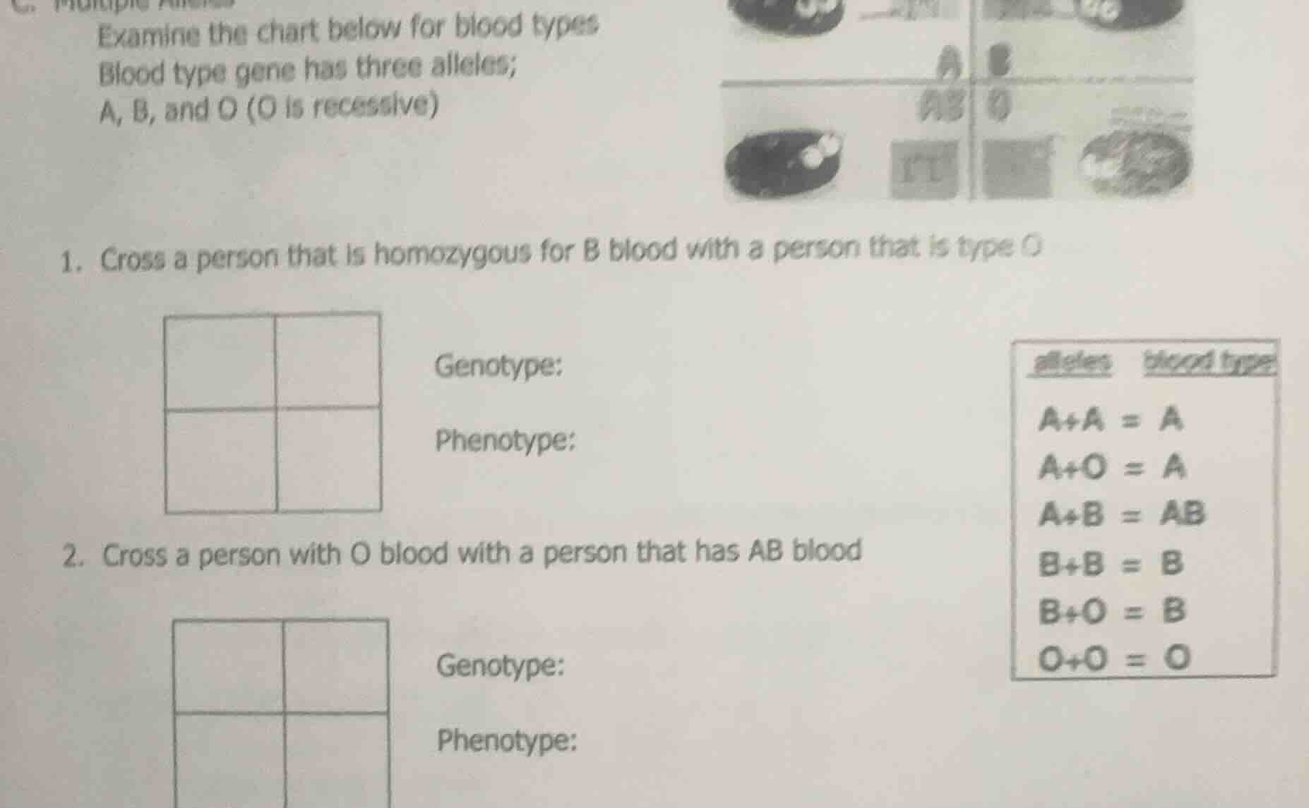 examine the chart below for blood types blood type gene has three allel…