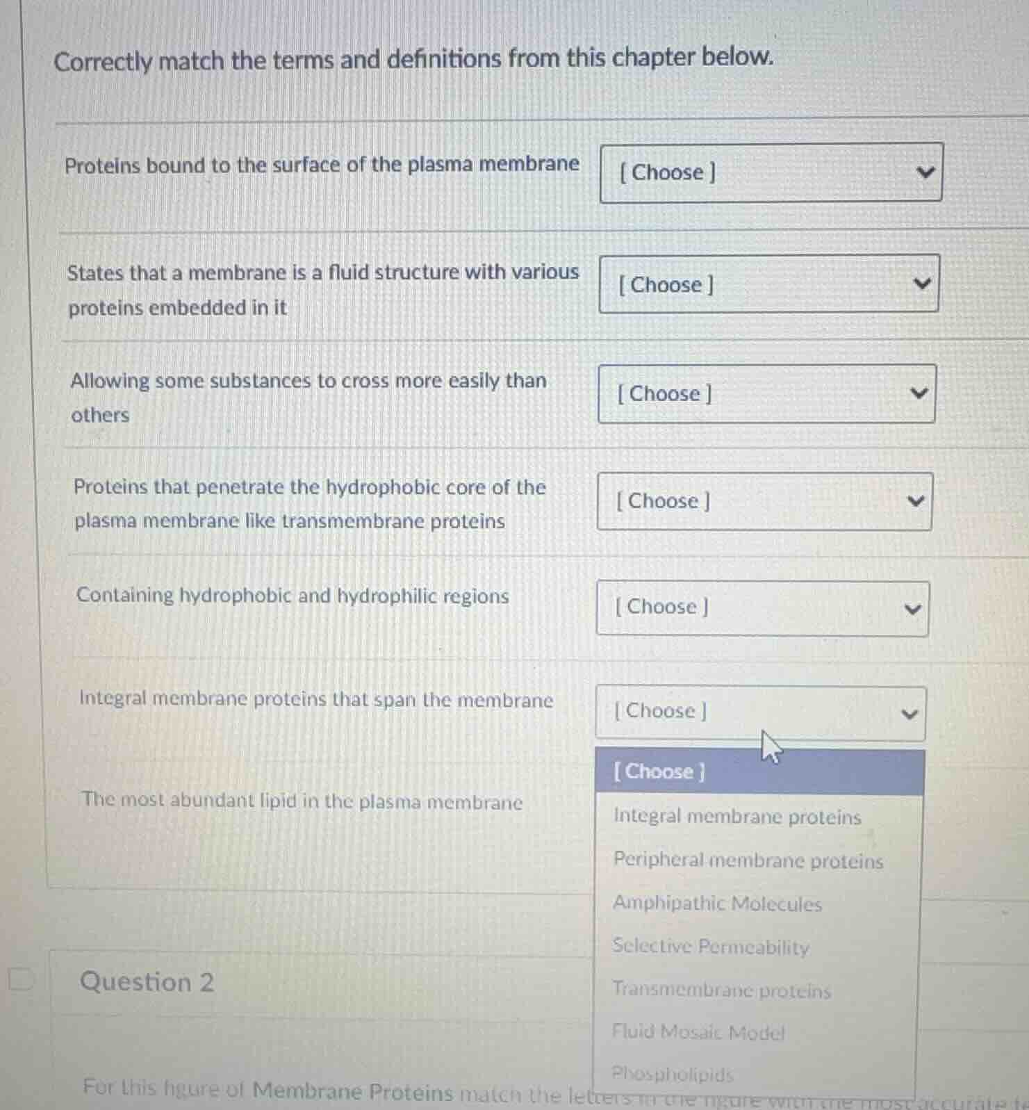 correctly match the terms and definitions from this chapter below. prot…