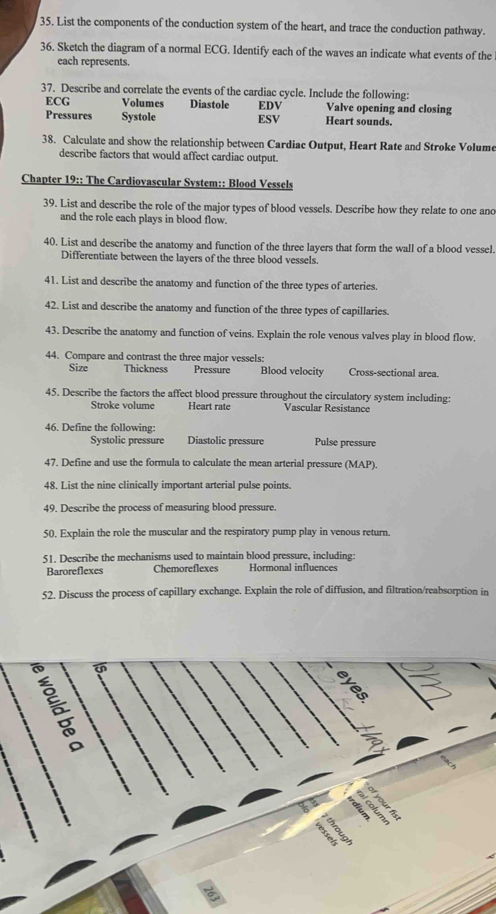 35. list the components of the conduction system of the heart, and trac…