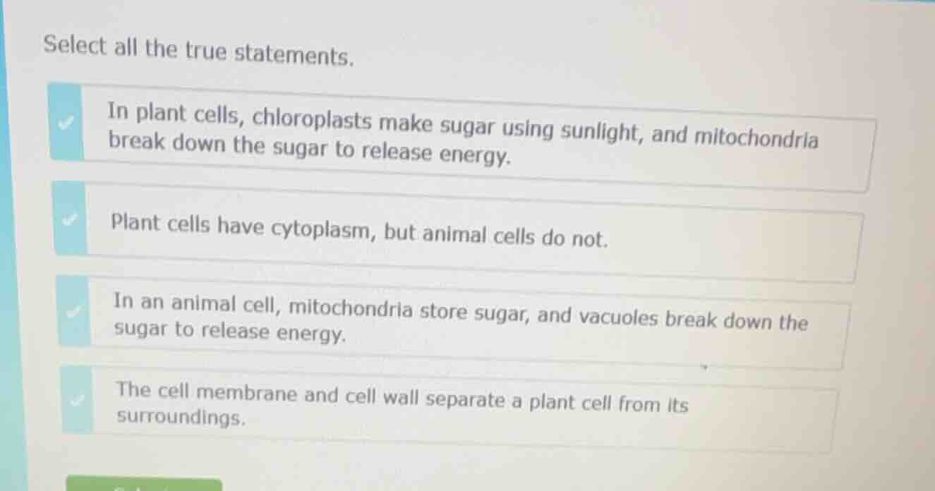 select all the true statements. in plant cells, chloroplasts make sugar…