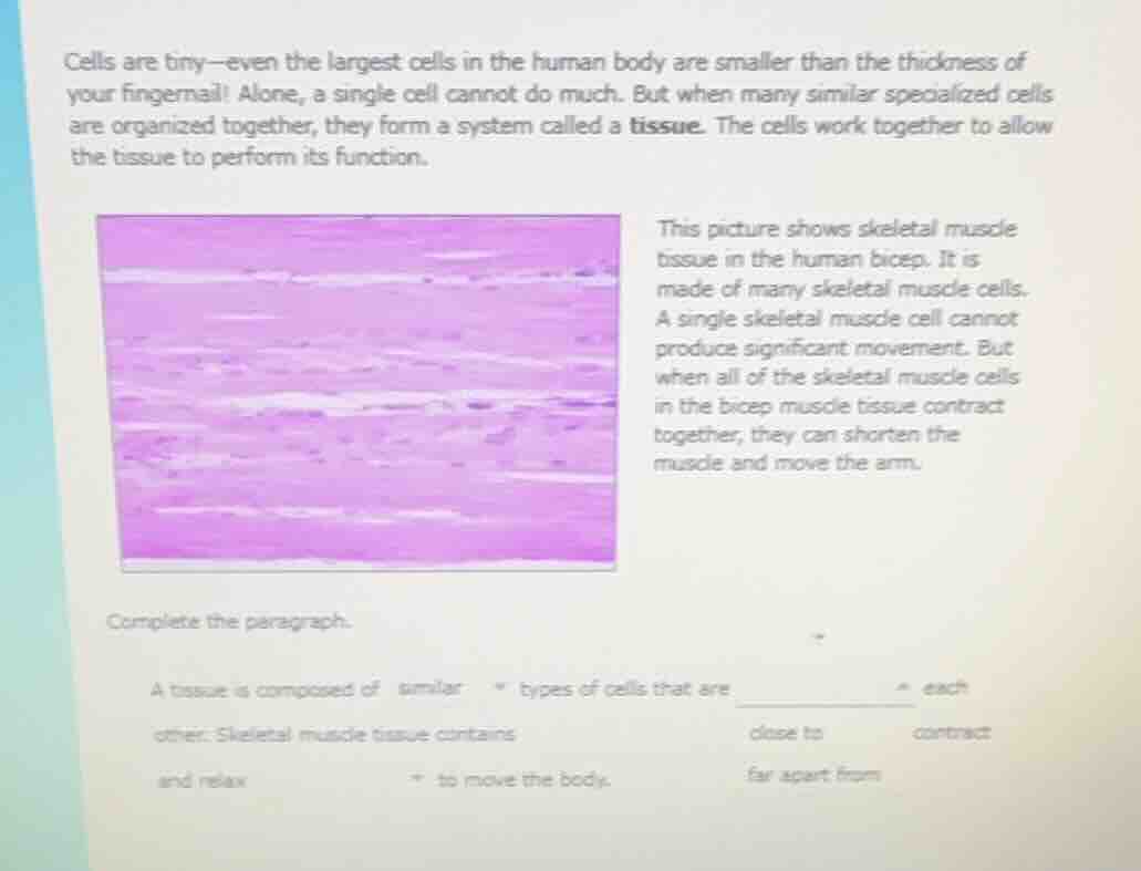 cells are tiny—even the largest cells in the human body are smaller tha…